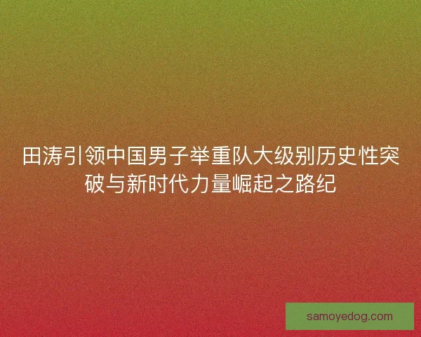 田涛引领中国男子举重队大级别历史性突破与新时代力量崛起之路纪