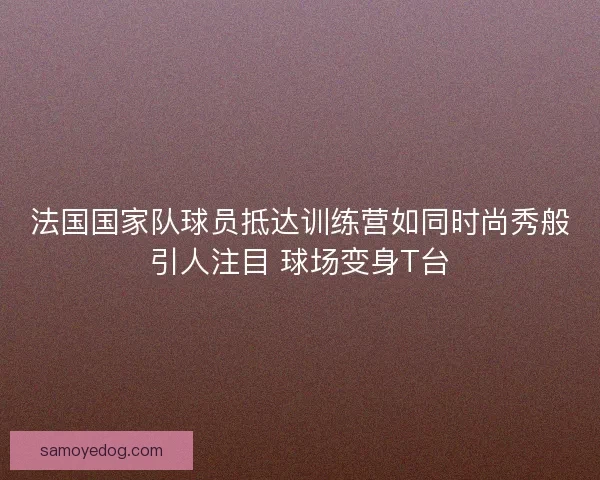 法国国家队球员抵达训练营如同时尚秀般引人注目 球场变身T台