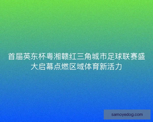首届英东杯粤湘赣红三角城市足球联赛盛大启幕点燃区域体育新活力