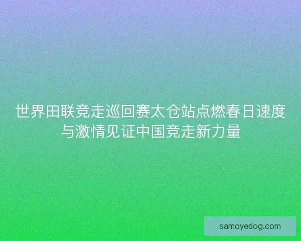 世界田联竞走巡回赛太仓站点燃春日速度与激情见证中国竞走新力量
