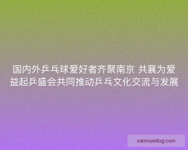 国内外乒乓球爱好者齐聚南京 共襄为爱益起乒盛会共同推动乒乓文化交流与发展