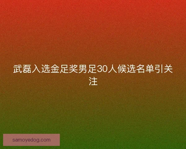 武磊入选金足奖男足30人候选名单引关注 武磊入选金足奖男足30人候选名单引关注