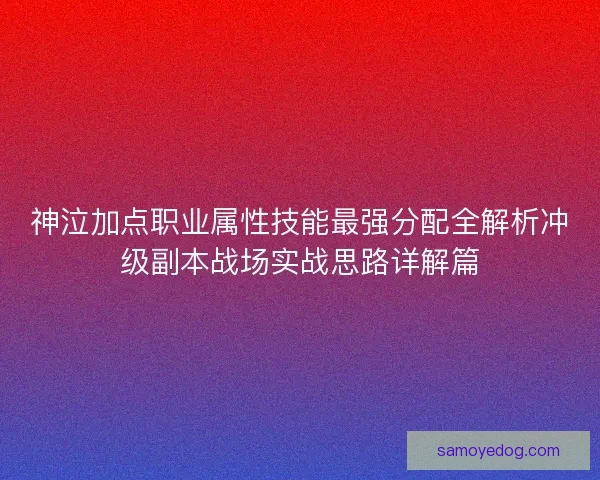 神泣加点职业属性技能最强分配全解析冲级副本战场实战思路详解篇