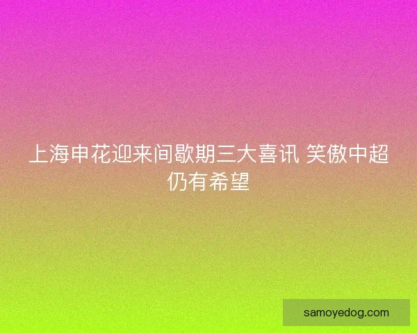 上海申花迎来间歇期三大喜讯 笑傲中超仍有希望