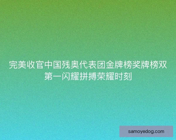 完美收官中国残奥代表团金牌榜奖牌榜双第一闪耀拼搏荣耀时刻