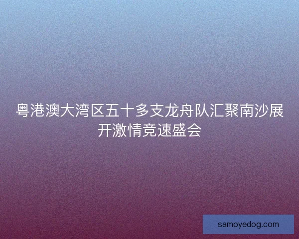 粤港澳大湾区五十多支龙舟队汇聚南沙展开激情竞速盛会