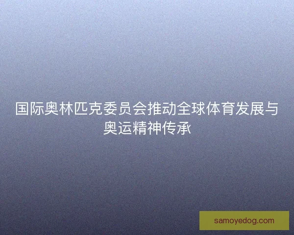 国际奥林匹克委员会推动全球体育发展与奥运精神传承 国际奥林匹克委员会推动全球体育发展与奥运精神传承